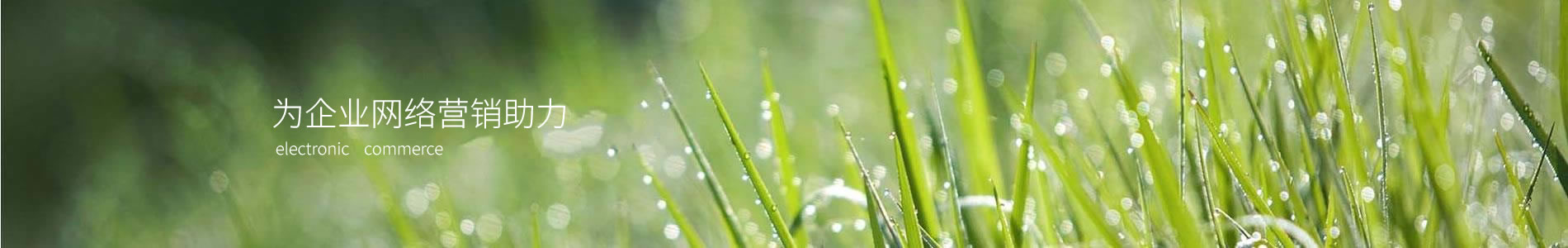 ʽ޹˾